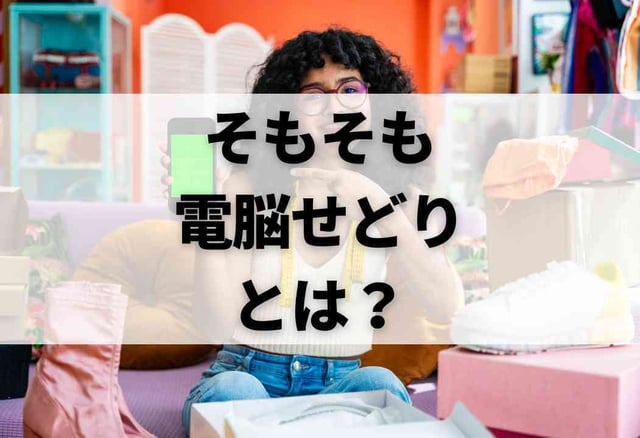 そもそも電脳せどりとは?