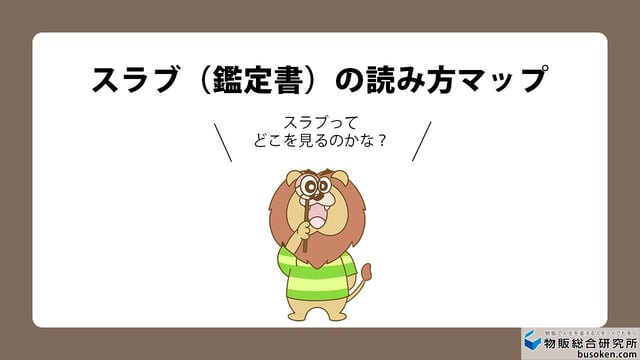 【図解】スラブコインの読み方とPCGS・NGCのグレード