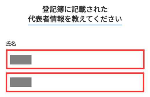 代表者情報を入力する画面。上から順に、氏名・住所・生年月日・電話番号・メールアドレスを入力していく。