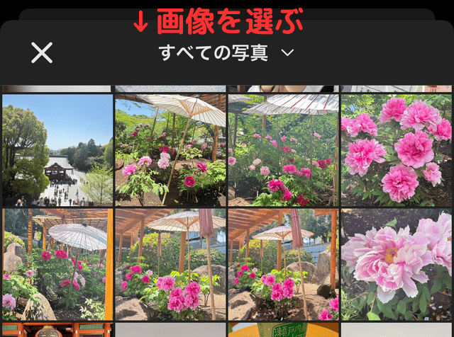メルカリのアプリでプロフィール画像を設定する様子を写した画像。アルバムから風景画像を選択している
