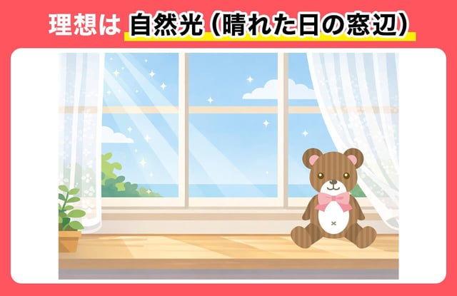 テク1：理想は「自然光」（晴れの日の窓辺）