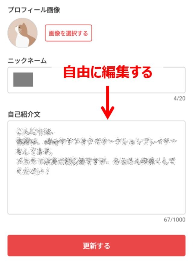 プロフィール編集画面が開くので、この記事のツールや例文を参考にして作成したプロフィール文章を貼り付け(または入力し)ます。